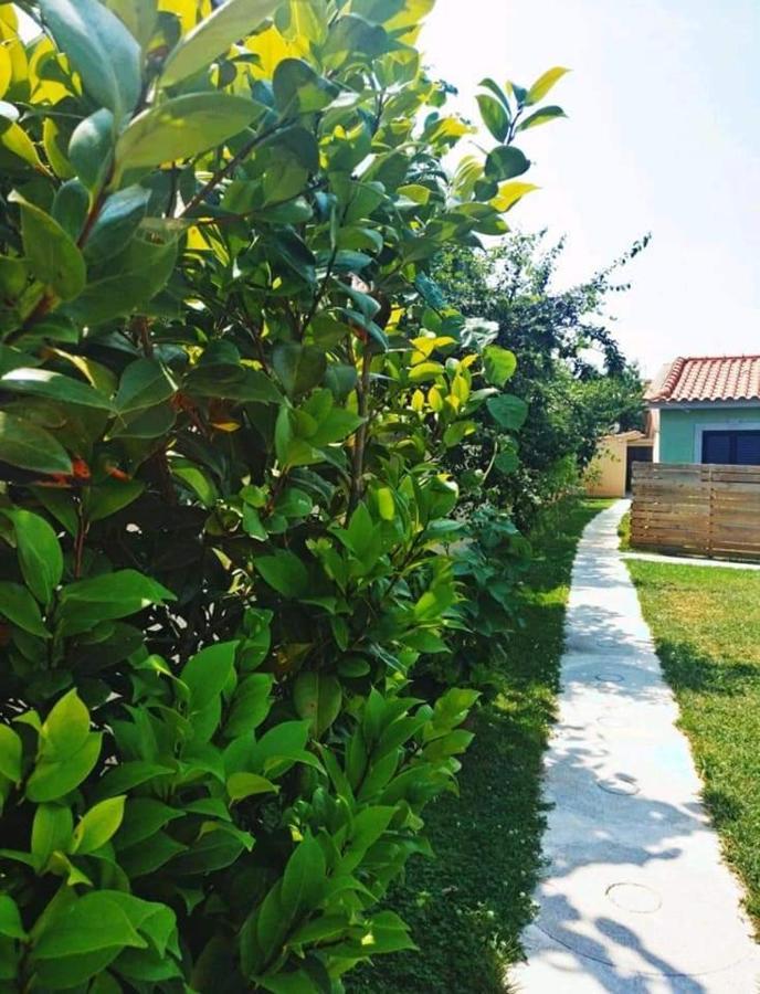 Casas Do Paco - Casas De Ferias Кабесейраш-ди-Башту Экстерьер фото