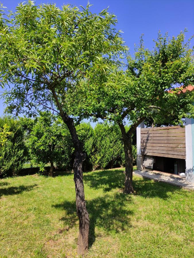Casas Do Paco - Casas De Ferias Кабесейраш-ди-Башту Экстерьер фото