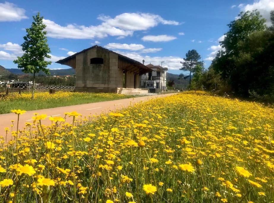 Casas Do Paco - Casas De Ferias Кабесейраш-ди-Башту Экстерьер фото